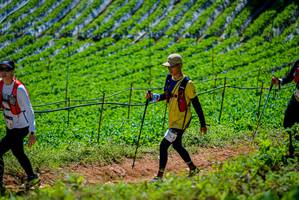 BIB: 
                            <button type="button" onclick="openModal(19164414)" class="btn btn-primary btn-sm float-right btn-popup" data-toggle="modal" data-target=".modal-high-quality">
                        <i class="fas fa-shopping-cart"></i> Add to Cart
                    </button>
                                            <button type="button" onclick="isThisMe(19164414, true)" class="btn btn-success btn-sm float-right btn-popup btn-isme hidden" data-toggle="tooltip" data-placement="bottom" title="นี่คือรูปของคุณใช่ไหม คลิกที่นี่เพื่อเอาเข้าอัลบั้ม">
                        <i class="fas fa-plus"></i> Add to album
                    </button>
                    <button type="button" onclick="isThisMe(19164414, false)" class="btn btn-warning btn-sm float-right btn-popup btn-isnotme hidden">
                        <i class="fas fa-ban"></i> Remove from album
                    </button>